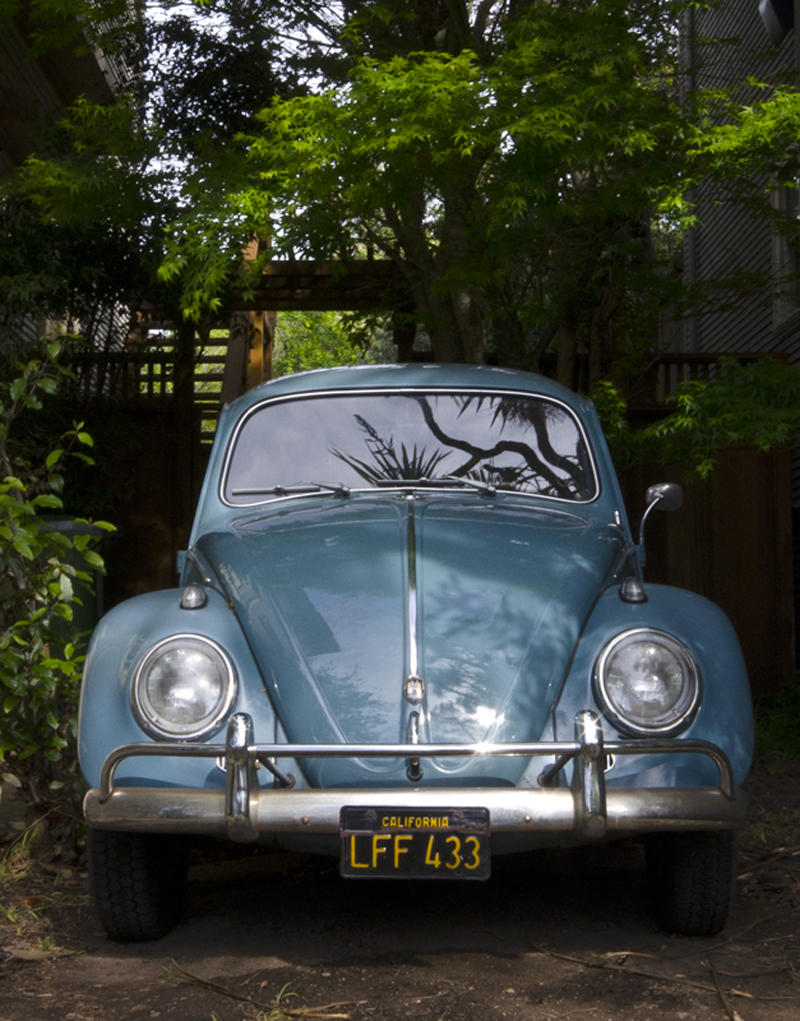 VW Bug